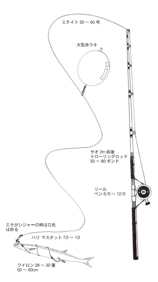 ガーラ：沖縄釣り情報